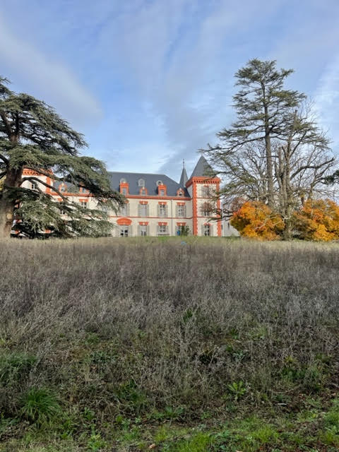 Château CAMAS